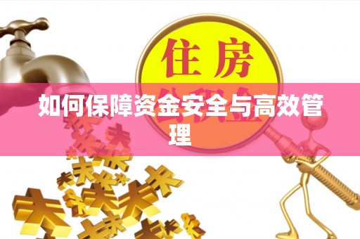碑林如何保障资金安全与高效管理