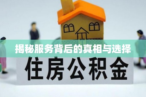 碑林揭秘服务背后的真相与选择
